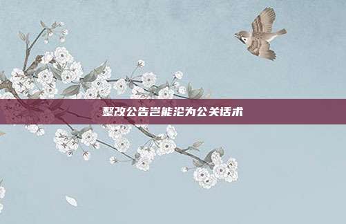 整改公告岂能沦为公关话术