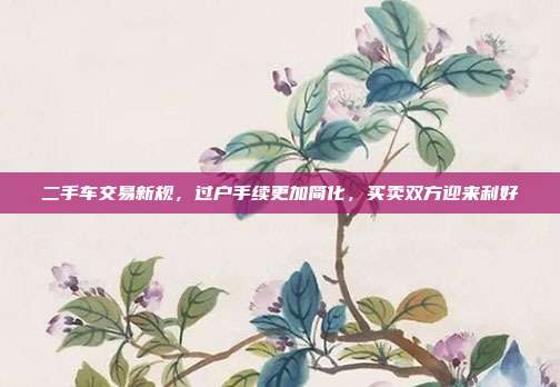 二手车交易新规,过户手续更加简化,买卖双方迎来利好