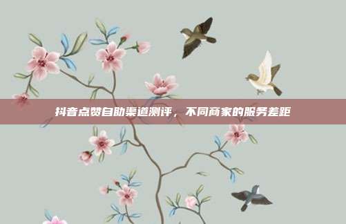 抖音点赞自助渠道测评,不同商家的服务差距