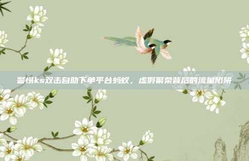 警惕ks双击自助下单平台蚂蚁，虚假繁荣背后的流量陷阱