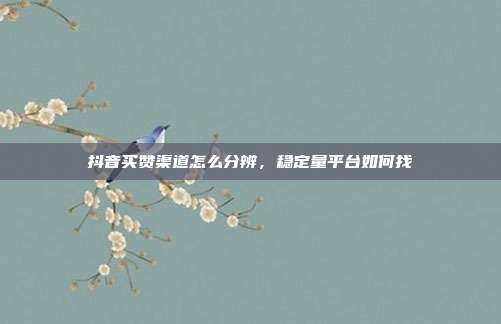 抖音买赞渠道怎么分辨,稳定量平台如何找
