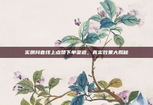 实测抖音线上点赞下单渠道,真实效果大揭秘