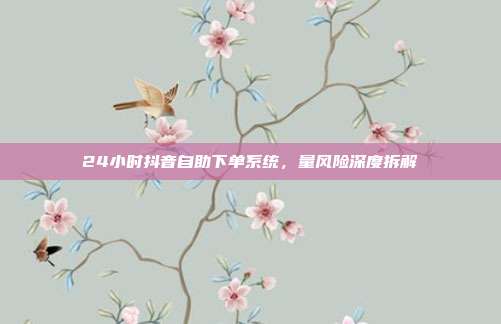 24小时抖音自助下单系统,量风险深度拆解