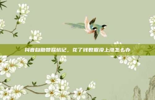 抖音自助赞踩坑记，花了钱数据没上涨怎么办