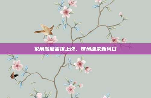 家用储能需求上涨,市场迎来新风口