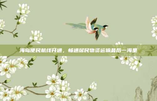 海岛便民航线开通，畅通居民物资运输最后一海里