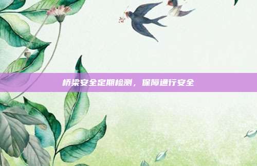 桥梁安全定期检测,保障通行安全