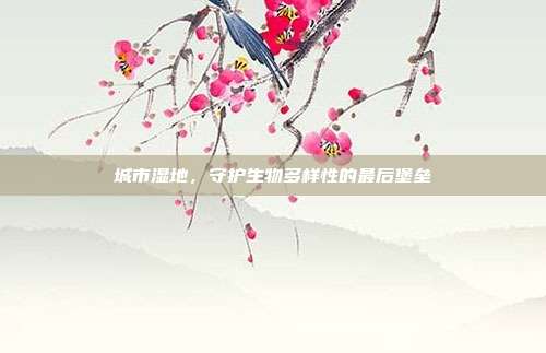 城市湿地，守护生物多样性的最后堡垒