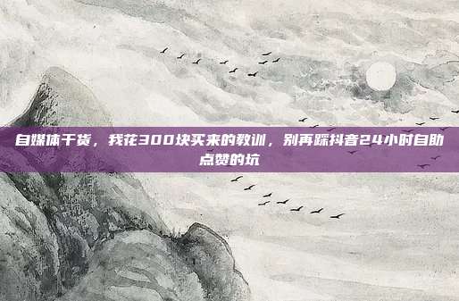 自媒体干货，我花300块买来的教训，别再踩抖音24小时自助点赞的坑