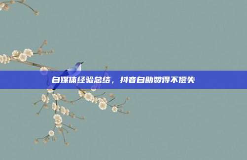 自媒体经验总结,抖音自助赞得不偿失