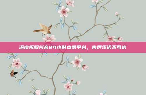 深度拆解抖音24小时点赞平台，售后承诺不可信
