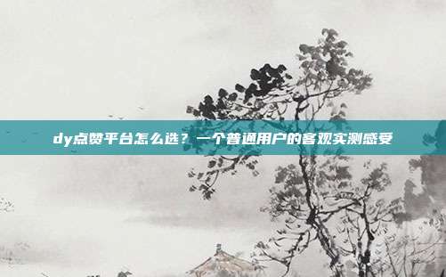 dy点赞平台怎么选？一个普通用户的客观实测感受