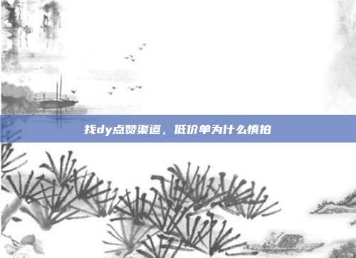 找dy点赞渠道，低价单为什么慎拍