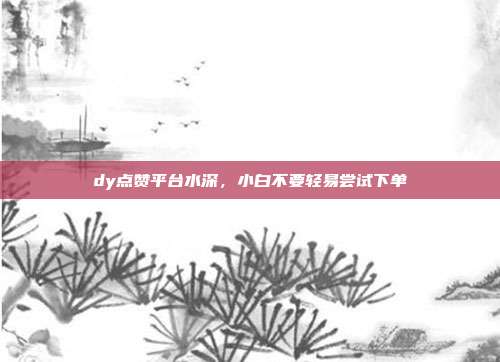 dy点赞平台水深，小白不要轻易尝试下单