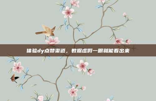 体验dy点赞渠道，数据虚假一眼就能看出来