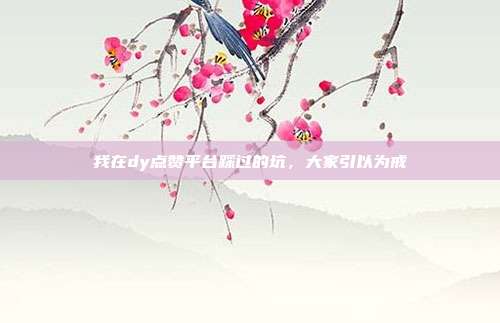 我在dy点赞平台踩过的坑，大家引以为戒