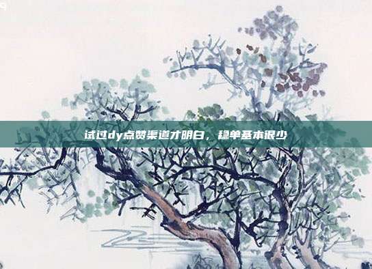 试过dy点赞渠道才明白,稳单基本很少