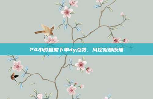 24小时自助下单dy点赞，风控检测原理