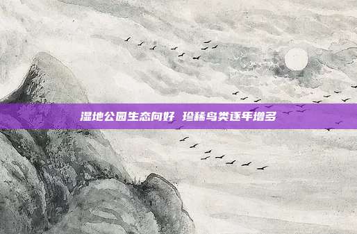 湿地公园生态向好 珍稀鸟类逐年增多