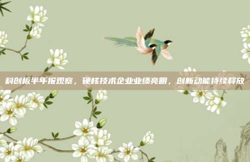 科创板半年报观察，硬核技术企业业绩亮眼，创新动能持续释放
