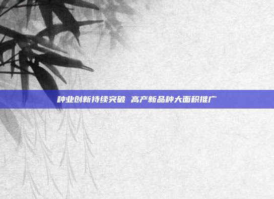 种业创新持续突破 高产新品种大面积推广