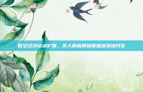 低空经济试点扩围，无人机应用场景加速落地开花