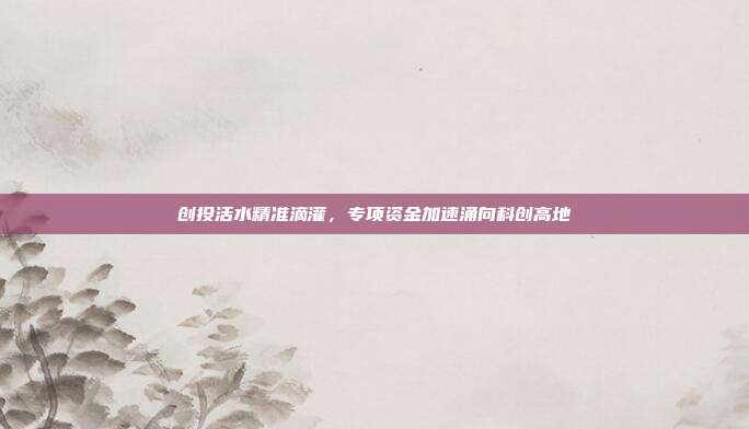 创投活水精准滴灌，专项资金加速涌向科创高地