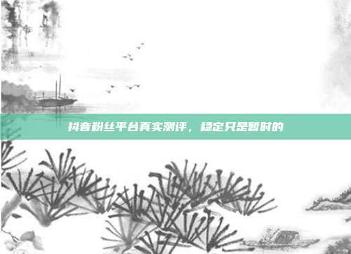 抖音粉丝平台真实测评，稳定只是暂时的