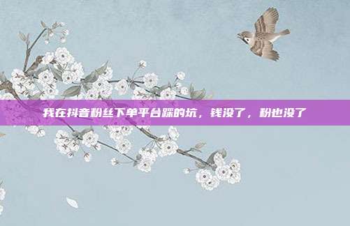 我在抖音粉丝下单平台踩的坑,钱没了,粉也没了
