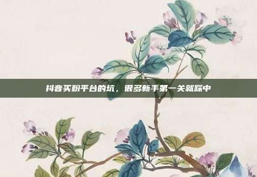 抖音买粉平台的坑,很多新手第一关就踩中