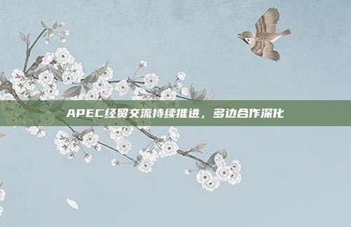 APEC经贸交流持续推进，多边合作深化