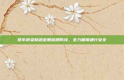 筑牢桥梁隧道定期检测防线,全力保障通行安全