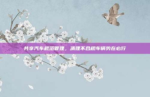 共享汽车规范管理，清理不合规车辆势在必行