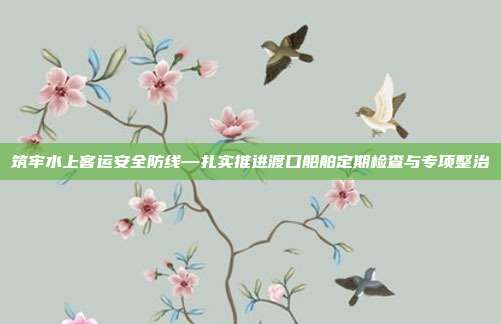 筑牢水上客运安全防线—扎实推进渡口船舶定期检查与专项整治