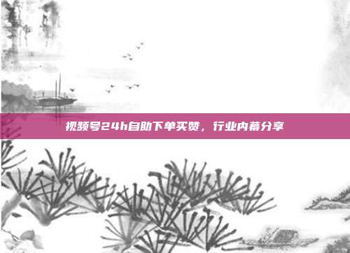 视频号24h自助下单买赞,行业内幕分享