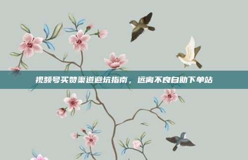 视频号买赞渠道避坑指南,远离不良自助下单站