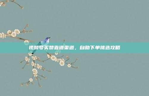视频号买赞靠谱渠道,自助下单挑选攻略