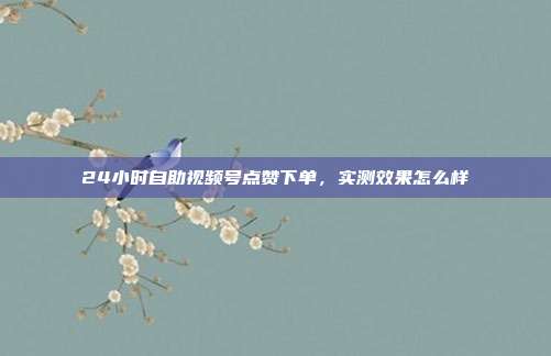 24小时自助视频号点赞下单,实测效果怎么样