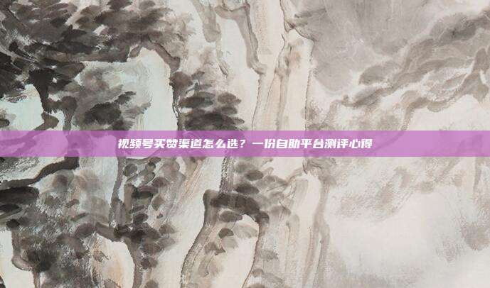 视频号买赞渠道怎么选?一份自助平台测评心得