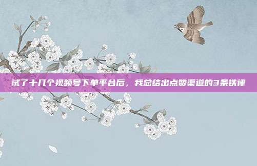 试了十几个视频号下单平台后,我总结出点赞渠道的3条铁律