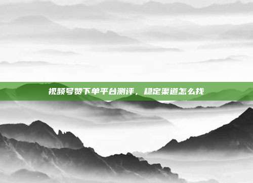 视频号赞下单平台测评，稳定渠道怎么找