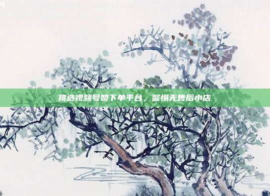 挑选视频号赞下单平台,警惕无售后小店