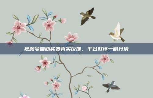 视频号自助买赞真实反馈,平台好坏一眼分清