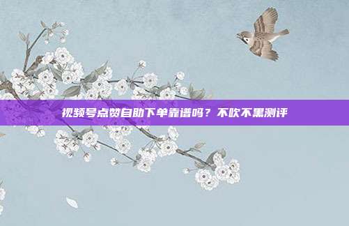 视频号点赞自助下单靠谱吗？不吹不黑测评