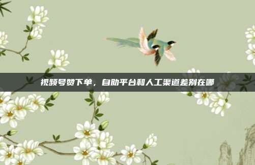 视频号赞下单,自助平台和人工渠道差别在哪