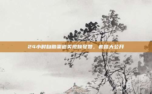 24小时自助渠道买视频号赞,套路大公开