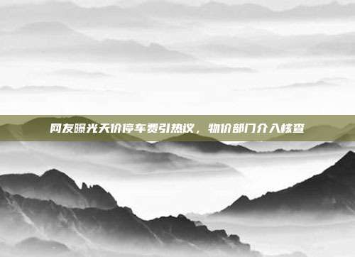 网友曝光天价停车费引热议，物价部门介入核查