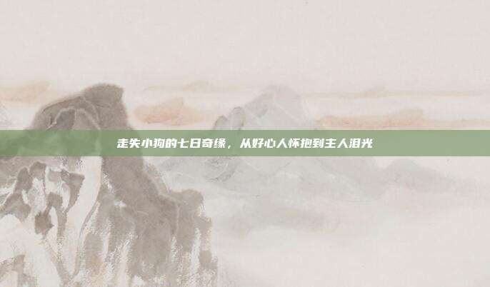 走失小狗的七日奇缘，从好心人怀抱到主人泪光