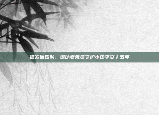银发巡逻队,退休老党员守护小区平安十五年