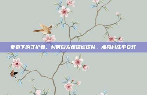 夜幕下的守护者，村民自发组建巡逻队，点亮村庄平安灯